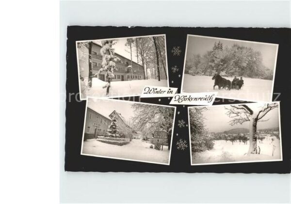 Birkenreuth Winteridylle Pferdeschlitten