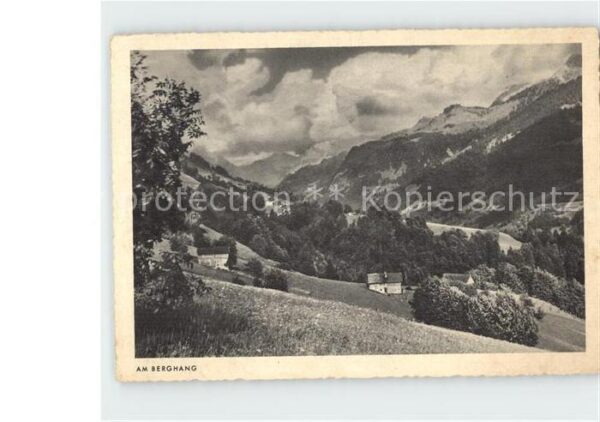 Schwarzwald Am Berghang