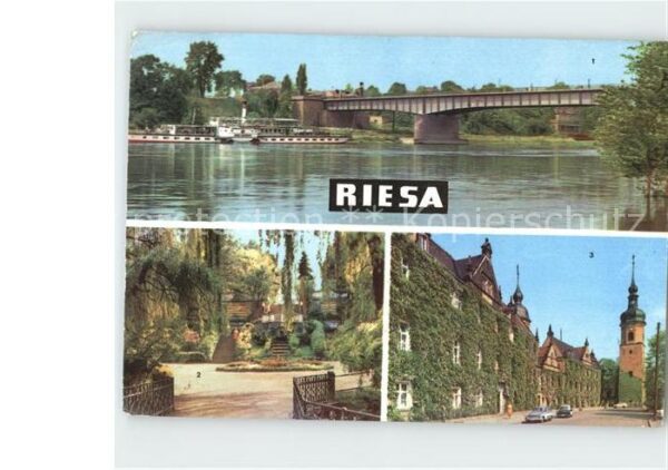 Riesa Sachsen Neue Elbbrücke Stadtpark Rathaus