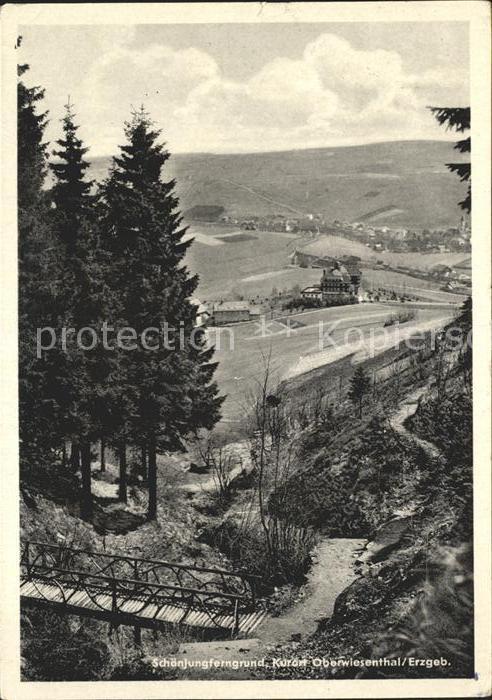 Oberwiesenthal Erzgebirge Schönjungferngrund