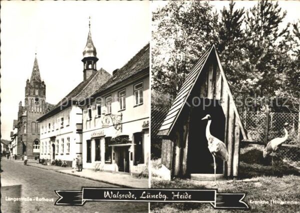 Walsrode Lueneburger Heide Langestrasse Kraniche