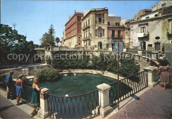 Siracusa Arethusa Brunnen Papyrus Bäumen