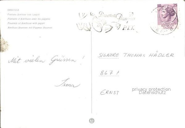 Siracusa Arethusa Brunnen Papyrus Bäumen – Bild 2