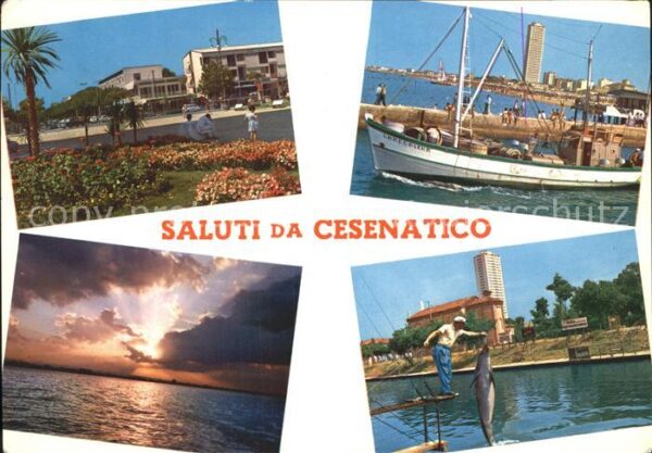 Cesenatico Boot Delfin