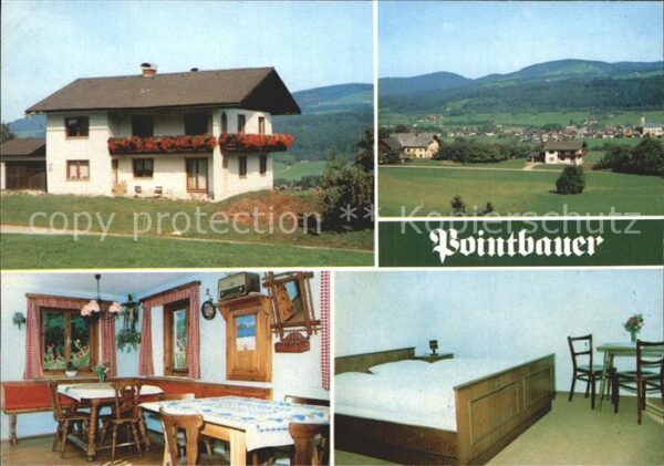 Thalgau Bergbauernhof Pointbauer