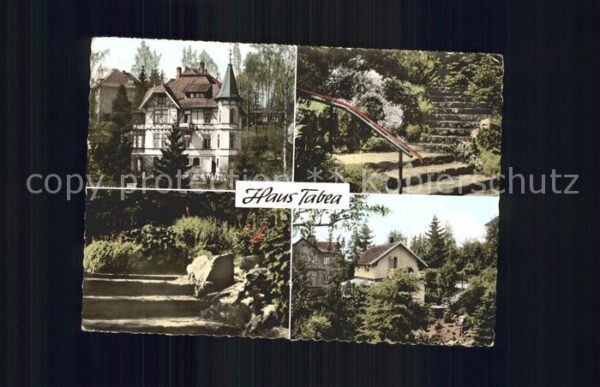 Bad Sachsa Harz Haus Tabea Gartenaufgang Haus Schneewit