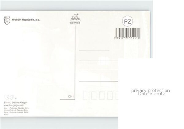 Pferde Hrbecin Napajedla – Bild 2