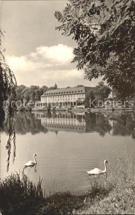 Bad Salzungen Kurhaus am Burgsee Schwäne