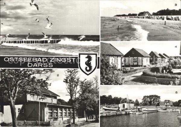 Zingst Ostseebad Möwen am Strand Gaststätte Zum Heidelbe