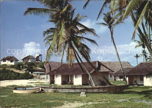 Malindi Watamu Beach Hotel Palmen
