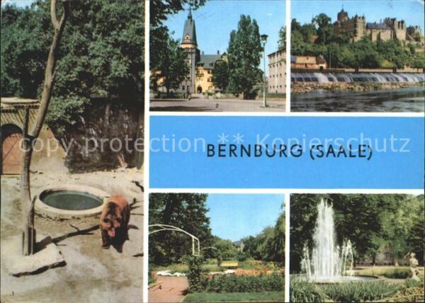 Bernburg Saale Bärenzwinger Schloss Kurhaus Rosengarte