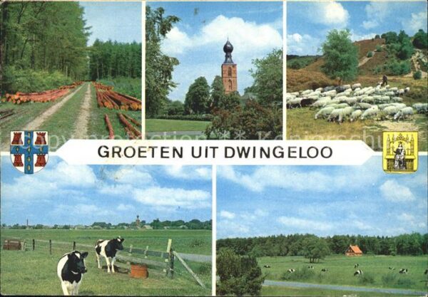 Dwingeloo Waldpartie Kirche Schafe Kühe Landschaf