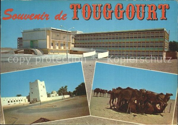 Touggourt Gebäude Kamele