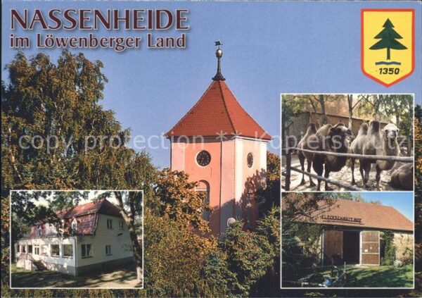 Nassenheide Dorfkirche Kamele Fleckschnupphof Kinde