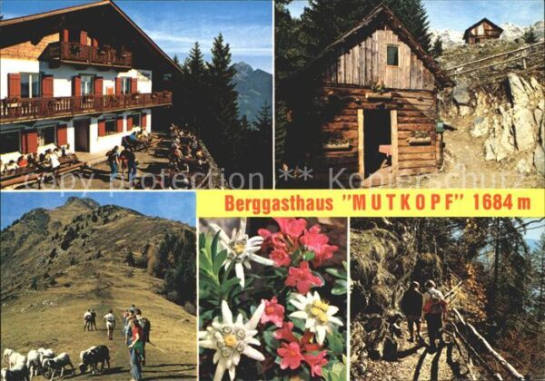 Dorf Tirol Berggasthaus Mutkopf Naturpark Texelgru
