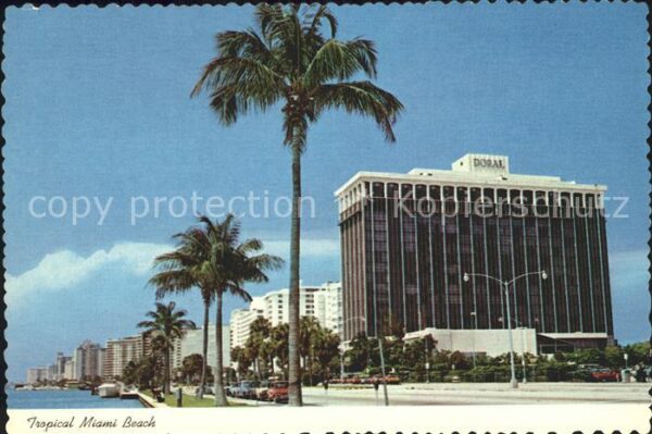 Miami Beach Tropical Miami Beach Doral Hotel Indian
