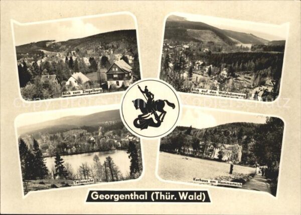 Georgenthal Panorama Blick vom Ziegelberg Waldsäumw