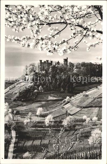 Ortenburg Schloss Haus für Jugend und Volksbildun