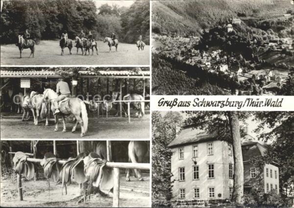 Schwarzburg Thueringer Wald Reitplatz an der Fasanerie Talblick