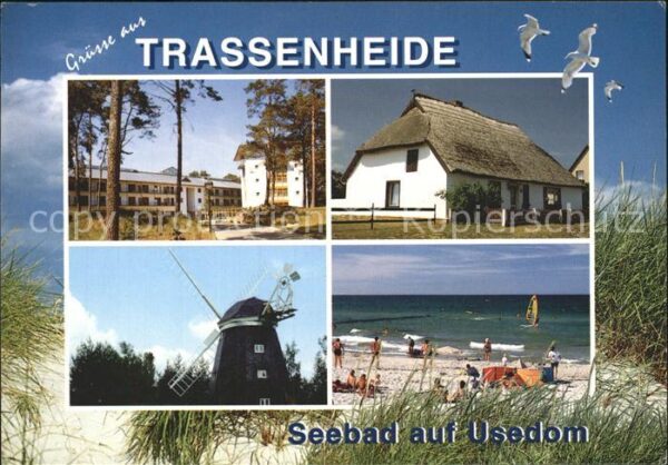 Trassenheide Usedom Rohrdachhaus Windmühle Strand Möwen