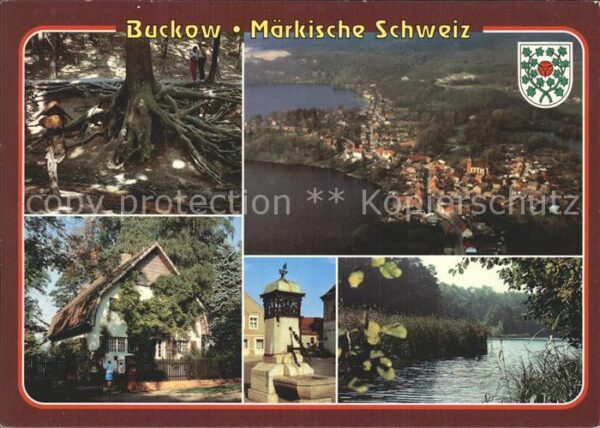 Buckow Maerkische Schweiz Naturdenkmal Wurzelfichte Brecht Weigel