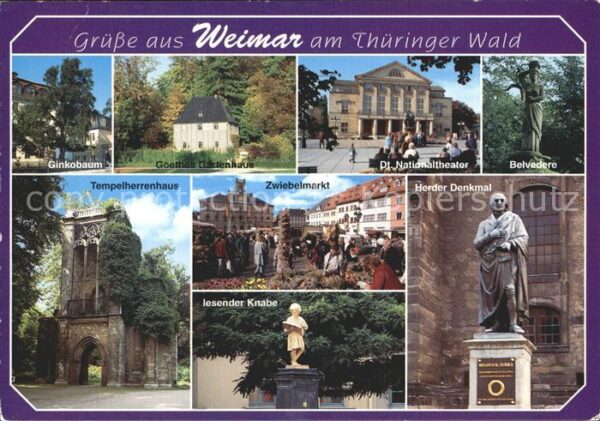 Weimar Thueringen Ginkobaum Goethes Gartenhaus Nationalth