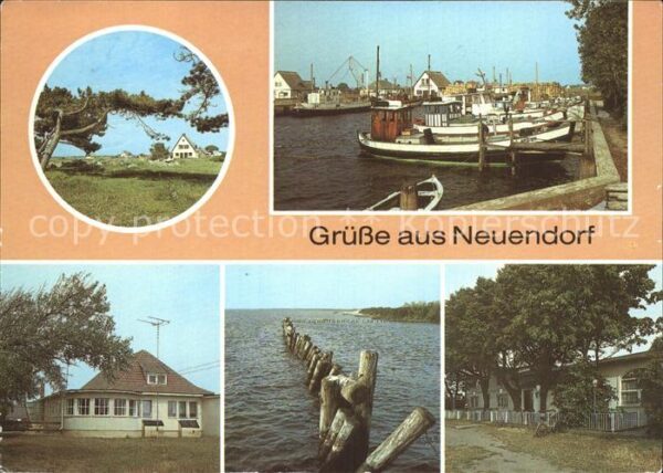 Neuendorf Hiddensee Windflüchter Hafen Strand Restaurant Ho