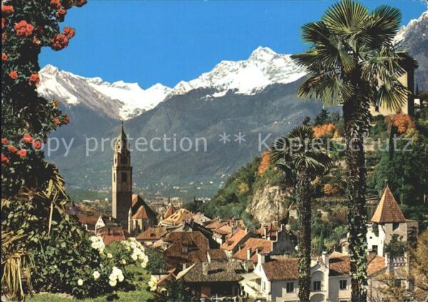 Meran Merano gegen Texelgruppe Kirche Schloss Palmen