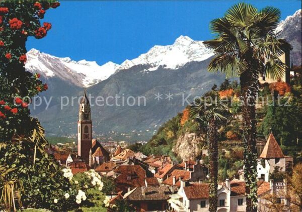 Meran Merano Stadtbild mit Texelgruppe