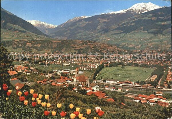 Marlengo Gesamtansicht mit Alpenpanorama Tulpen