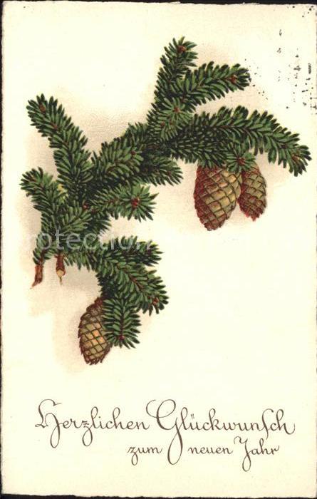 Neujahr Tannenzapfen Litho