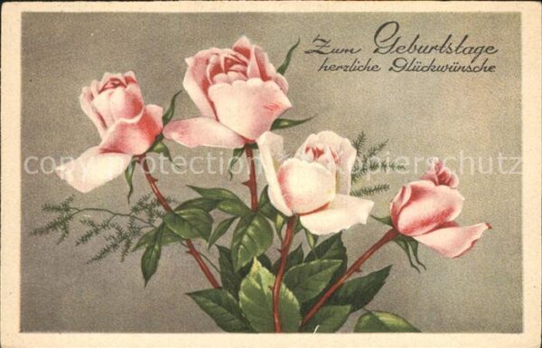 Geburtstag Rosen