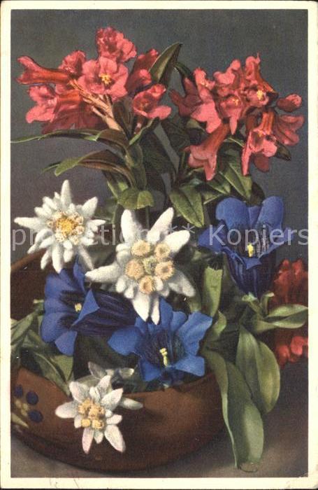 Edelweiss Enzian Alpenrosen