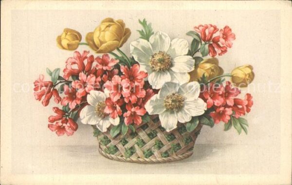 Blumen Trollblume Alpenrosen