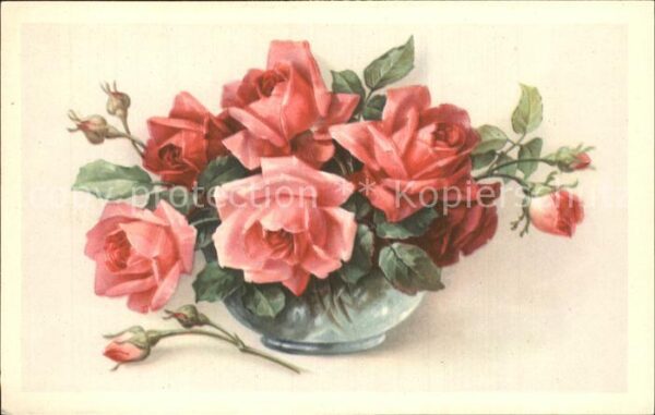 Rosen