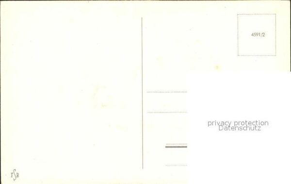 Rosen – Bild 2