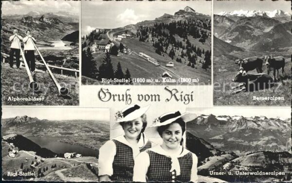 Alphorn Alphornbläser Kühe Berner-Alpen Rigi-St
