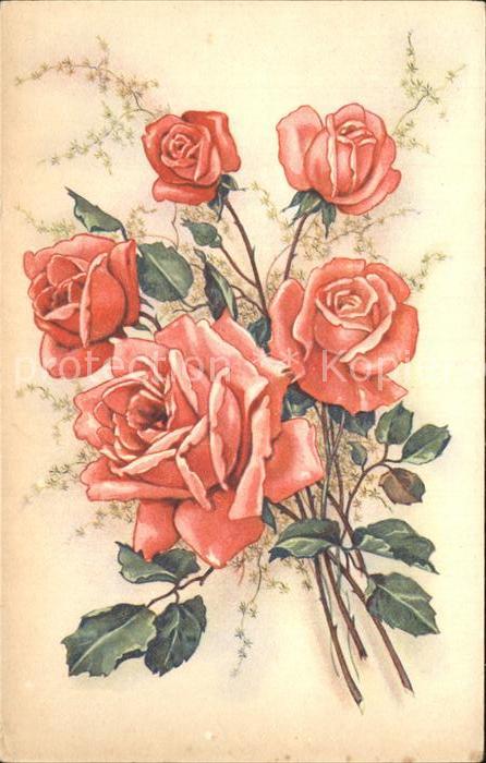Rosen