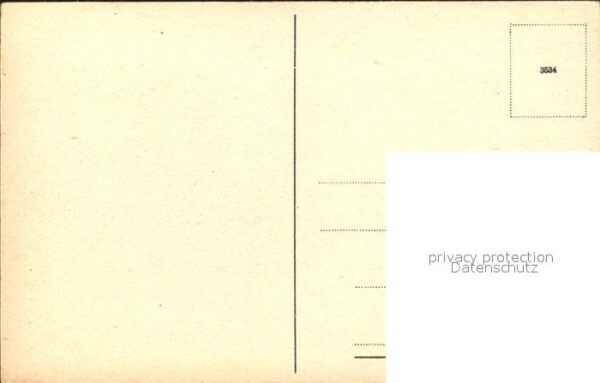 Rosen – Bild 2