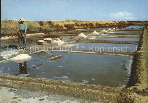 Salzgewinnung Marais salants Ile de Re