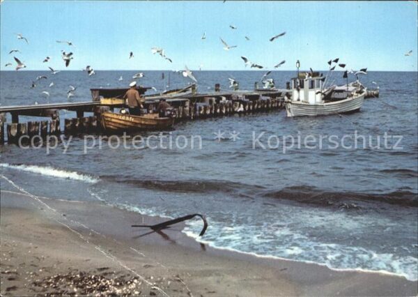 Fischerei Ostsee Möwen Fischkutter