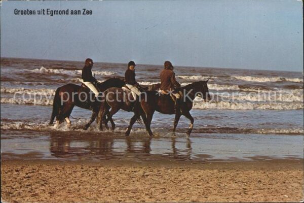 Pferde Reiten Egmond aan Zee