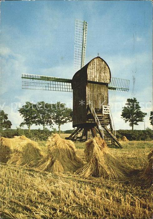 Windmuehle Holland Heuernte