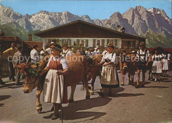 Kuehe Almabtrieb Garmisch-Partenkirchen Zugsp