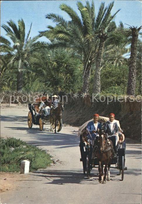 Pferdekutschen Gabes Promenade a travers l'Oasis