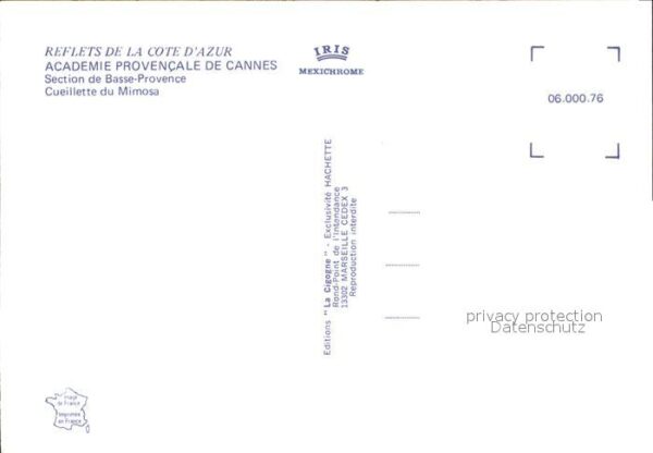 Ernte Landwirtschaft Frankreich Cueillette du Mimosa Basse-P – Bild 2