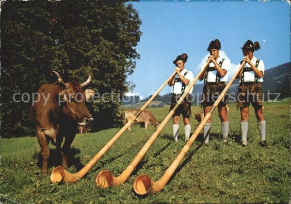 Alphorn Alphornbläser Kuh