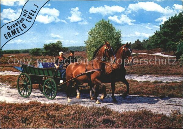 Pferdekutschen Ermelo Holland