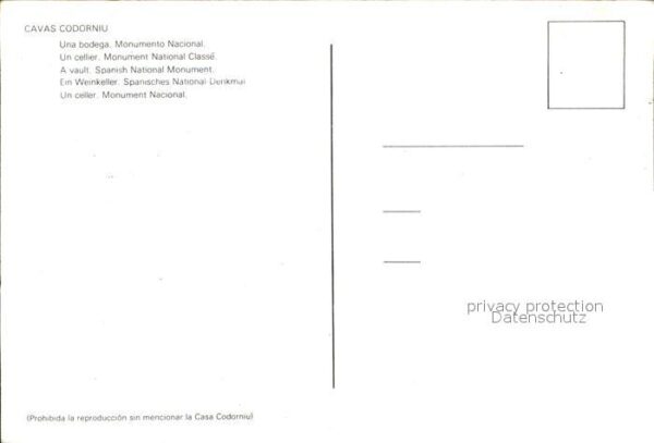 Wein Cavas Codorniu Weinkeller Bodega – Bild 2