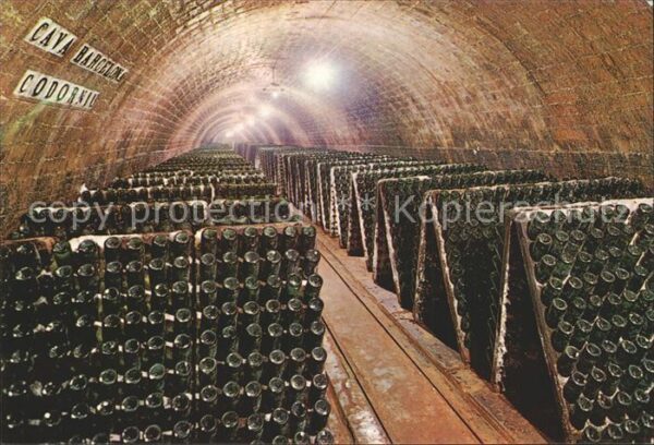 Wein Cavas Codorniu Botellas en pupitre